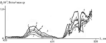 СПЭЯ листьев картофеля сорта Веста  при различных уровнях  минерального питания. Спектры пронумерованы цифрами от 1 до 5 в порядке возрастания количества внесенных минеральных удобрений.